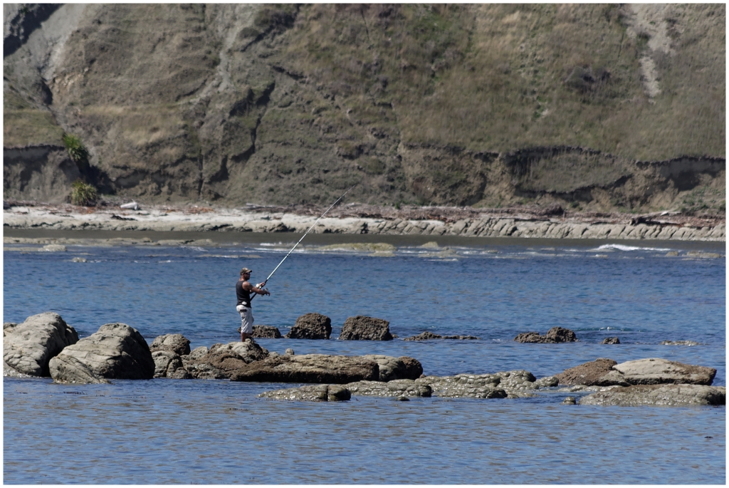 14 - Kaikoura (13).jpg